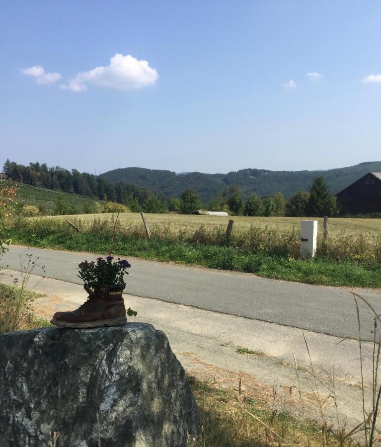 Steigerhaus Sauerland Apartment Bestwig Luaran gambar