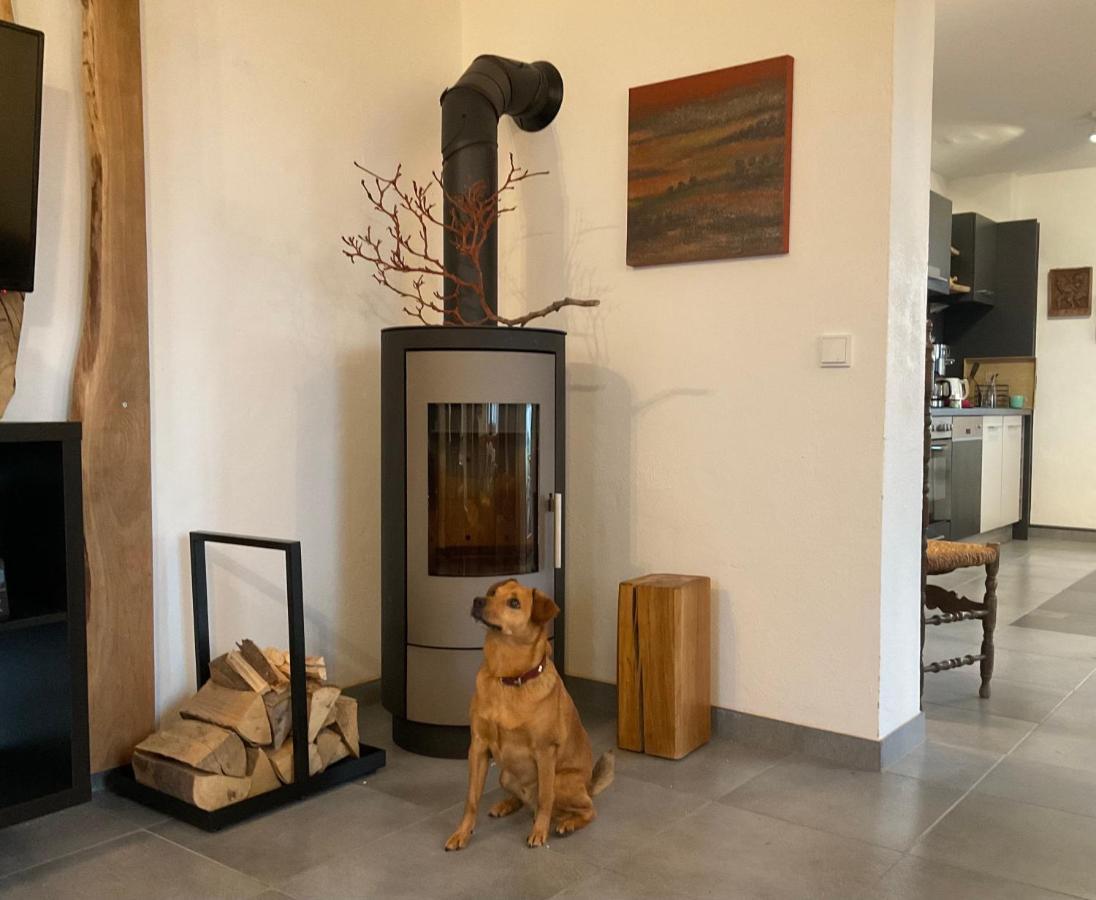 Steigerhaus Sauerland Apartment Bestwig Luaran gambar